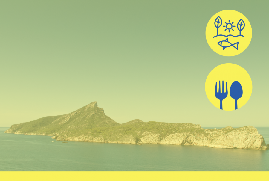 Andratx Boat tours and Dragonera Island boat