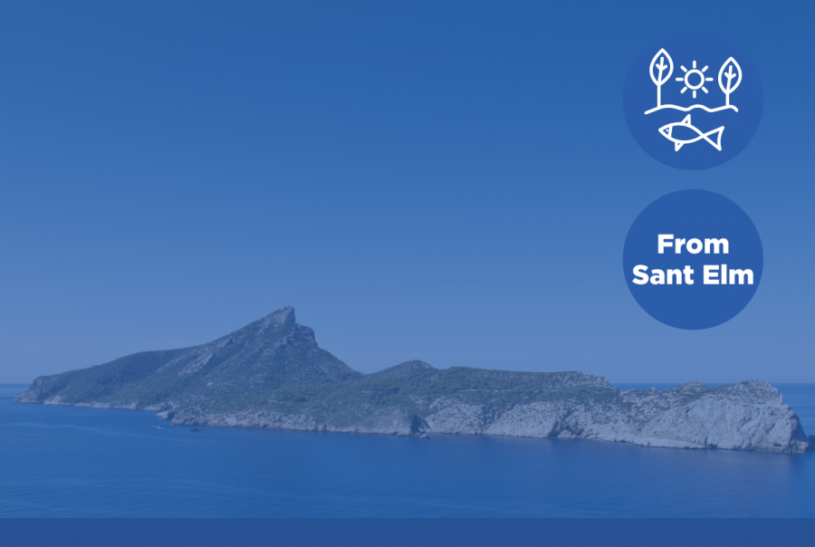 Andratx Boat tours and Dragonera Island boat