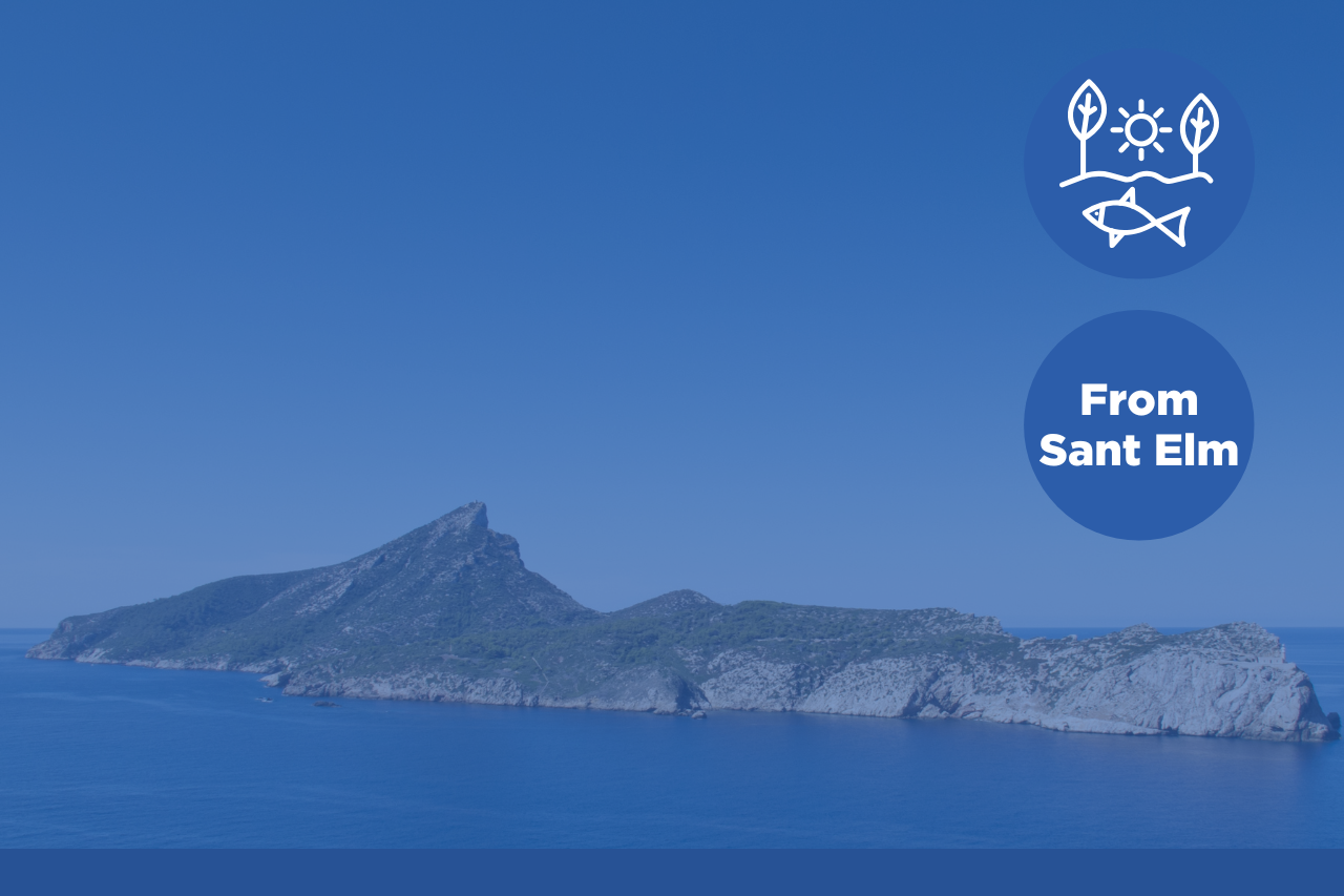 Andratx Boat tours and Dragonera Island boat