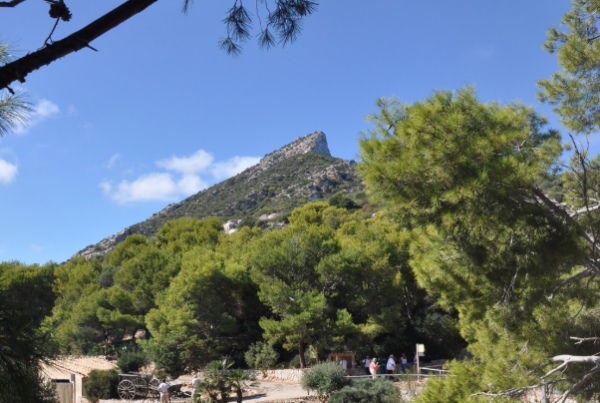 Natural Park Sa Dragonera Mallorca - Sa Calma Boats