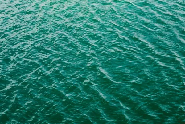 Why the Sea Changes Colour in Mallorca