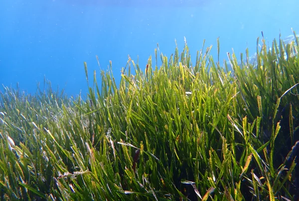 Sustainable Tourism Mallorca