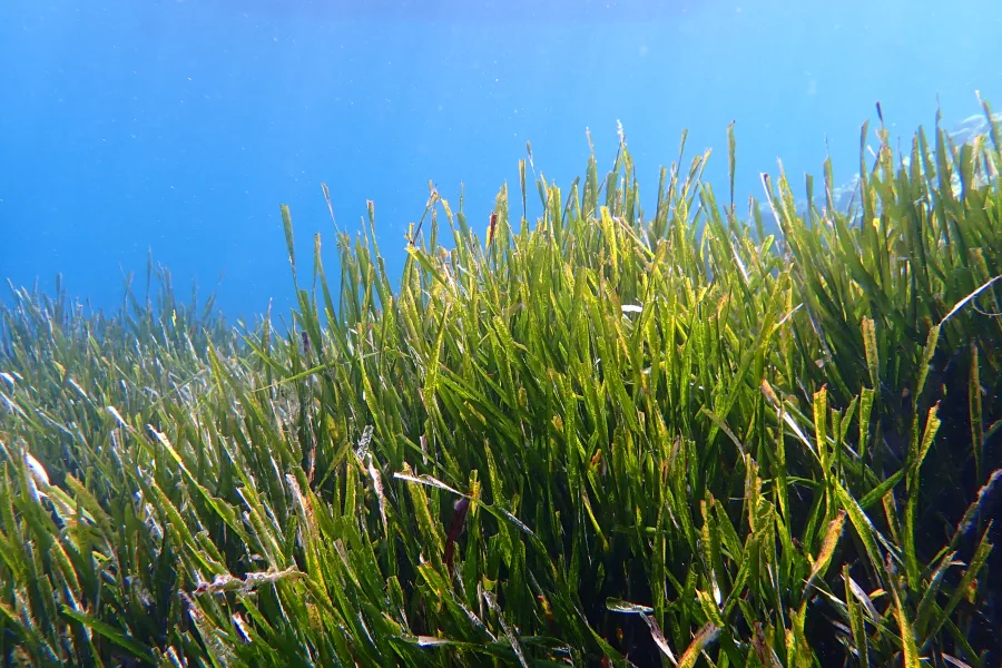 Sustainable Tourism Mallorca