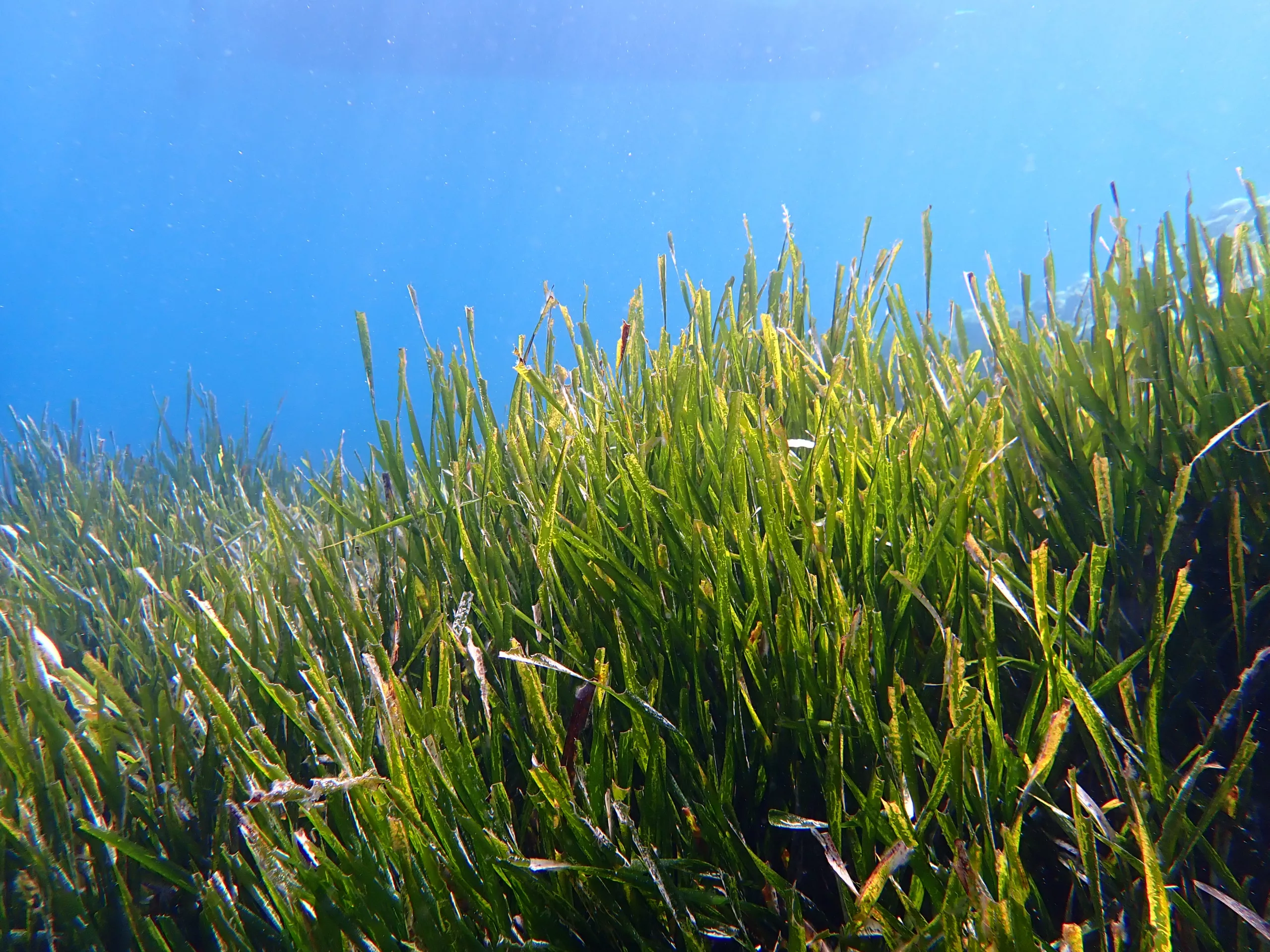 Sustainable Tourism Mallorca