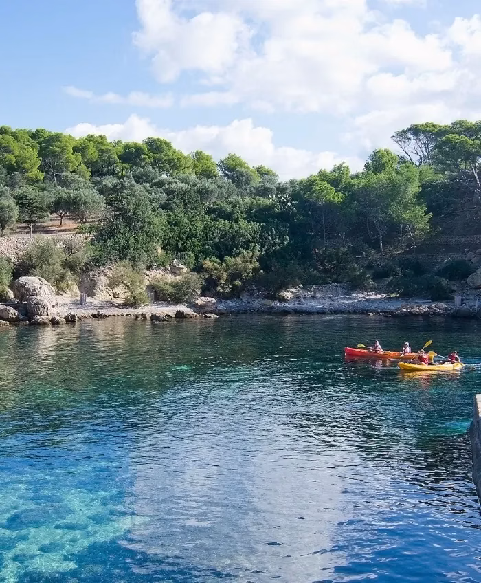 Clear-water cove surrounded by pine trees on Sa Dragonera